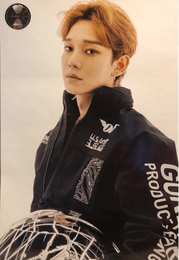 EXO 5TH ALBUM [ DON'T MESS UP MY TEMPO-CHEN] POSTER - Pig Rabbit Shop Kpop store Spain