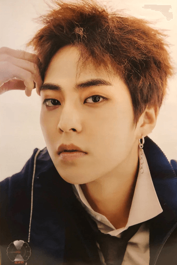 EXO 5TH ALBUM [ DON'T MESS UP MY TEMPO-XIUMIN] POSTER - Pig Rabbit Shop Kpop store Spain
