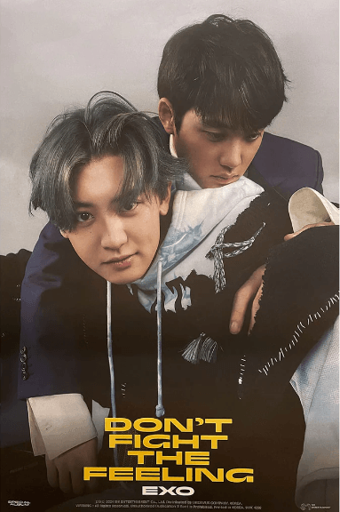 EXO SPECIAL ALBUM [ DON'T FIGHT THE FEELING ] (EXPANSION - CHANYEOL+D.O VER.) POSTER - Pig Rabbit Shop Kpop store Spain