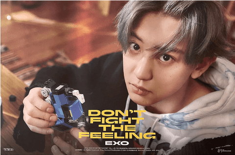 EXO SPECIAL ALBUM [ DON'T FIGHT THE FEELING ] (EXPANSION - CHANYEOL VER.) POSTER - Pig Rabbit Shop Kpop store Spain