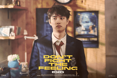 EXO SPECIAL ALBUM [ DON'T FIGHT THE FEELING ] (EXPANSION - D.O VER.) POSTER - Pig Rabbit Shop Kpop store Spain