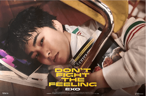 EXO SPECIAL ALBUM [ DON'T FIGHT THE FEELING ] (EXPANSION - XIUMIN VER.) POSTER - Pig Rabbit Shop Kpop store Spain