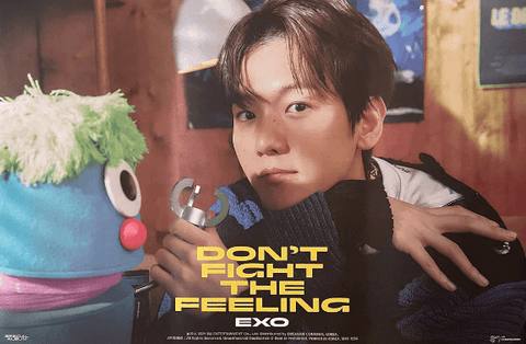 SPECIAL ALBUM [ DON'T FIGHT THE FEELING ] (EXPANSION - BAEKHYUN VER.) POSTER - Pig Rabbit Shop Kpop store Spain