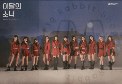 Loona - # [ a limited ] poster - Pig Rabbit Shop Kpop store Spain