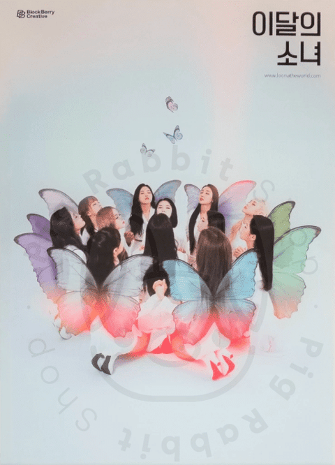 Loona - XX [ a limited ] poster - Pig Rabbit Shop Kpop store Spain