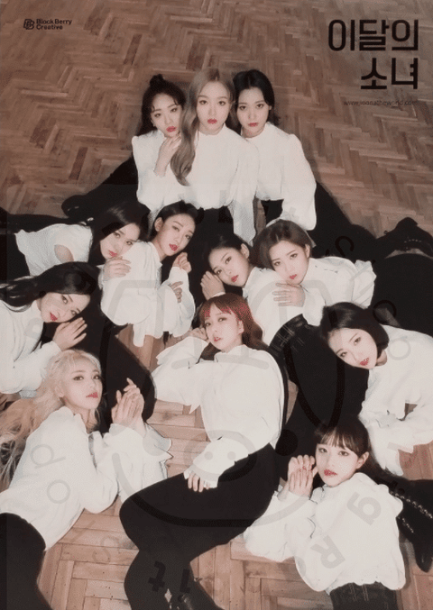 Loona - XX [ b limited ] poster - Pig Rabbit Shop Kpop store Spain