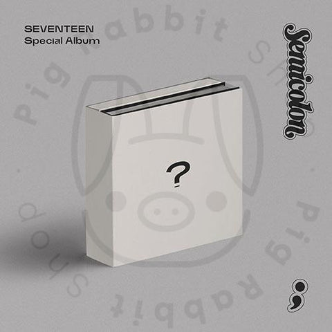 Seventeen Special Album - Semicolon ( VERSION grupal) - Pig Rabbit Shop Kpop store Spain