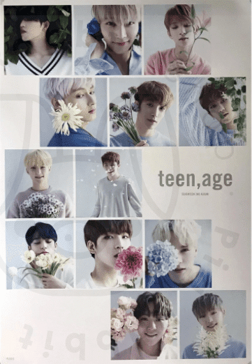 Seventeen - Teen, age [ white ] poster - Pig Rabbit Shop Kpop store Spain