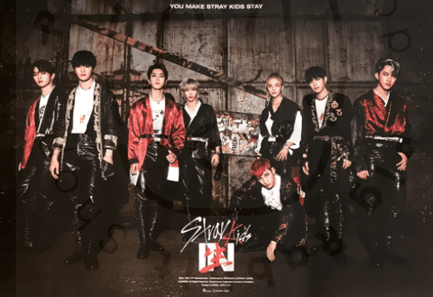 Stray kids - IN生 In life [ b ] poster - Pig Rabbit Shop Kpop store Spain