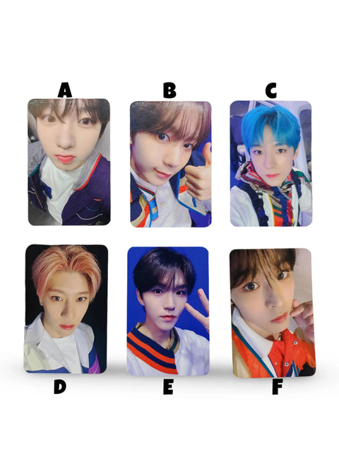Photocards oficiales de NCT WISH del single Songbird sobre fondo blanco