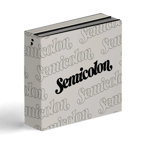 Seventeen Special Album - Semicolon ( VERSION grupal)