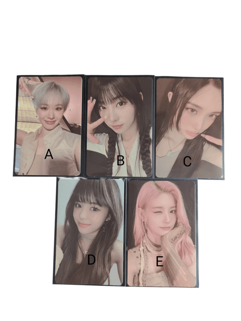 OFFICIAL PHOTOCARD EVERGLOW 4TH SINGLE ALBUM - All My Girls [POB KTOWN4U] - Pig Rabbit Shop Kpop store Spain