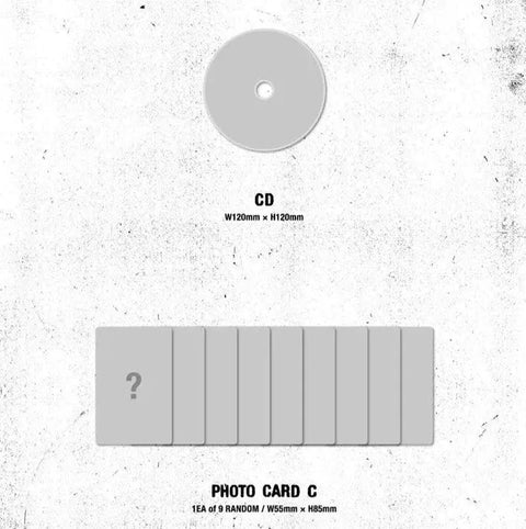 &TEAM 1st ALBUM - First Howling : NOW STANDARD EDITION - Pig Rabbit Shop Kpop store Spain