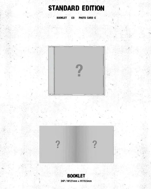 &TEAM 1st ALBUM - First Howling : NOW STANDARD EDITION - Pig Rabbit Shop Kpop store Spain