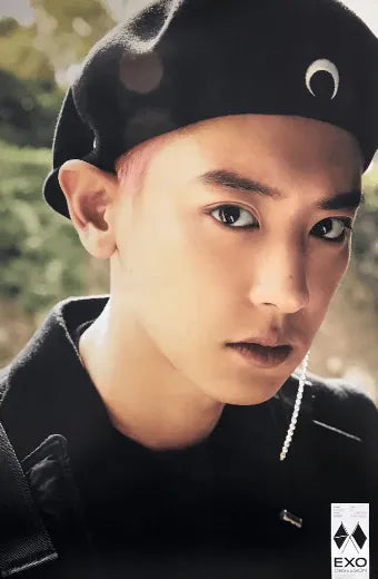 EXO 6TH ALBUM [ OBSESSION ] (EXO - CHANYEOL VER.) POSTER - Pig Rabbit Shop Kpop store Spain