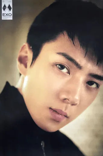 EXO 6TH ALBUM [ OBSESSION ] (EXO - SEHUN VER.) POSTER - Pig Rabbit Shop Kpop store Spain