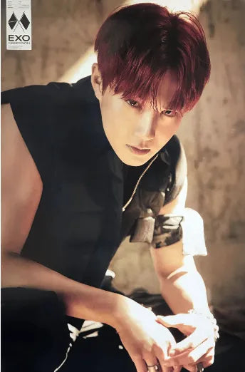 EXO 6TH ALBUM [ OBSESSION ] (EXO - SUHO VER.) POSTER - Pig Rabbit Shop Kpop store Spain