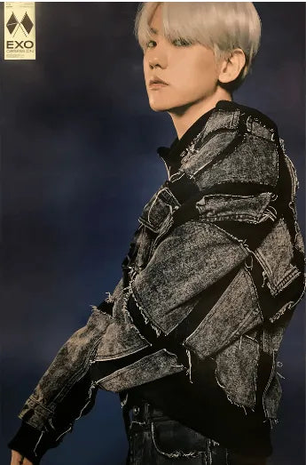 EXO 6TH ALBUM [ OBSESSION ] (OBSESSION - BAEKHYUN VER.) POSTER - Pig Rabbit Shop Kpop store Spain