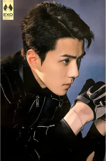 EXO 6TH ALBUM [ OBSESSION ] (OBSESSION - SEHUN VER.) POSTER - Pig Rabbit Shop Kpop store Spain