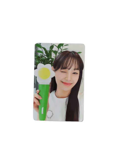 OFFICIAL PHOTOCARD CHUU - OFFICIAL LIGHT STICK - Pig Rabbit Shop Kpop store Spain