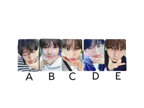 OFFICIAL PHOTOCARD NCT WISH - The 1st Mini Album Steady (POB APPLEMUSIC) - Pig Rabbit Shop Kpop store Spain