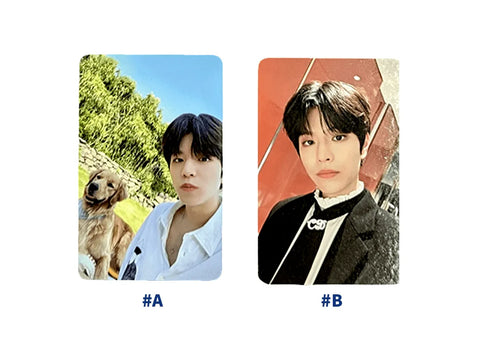 OFFICIAL PHOTOCARD STAY IN STAY IN JEJU - Pig Rabbit Shop Kpop store Spain