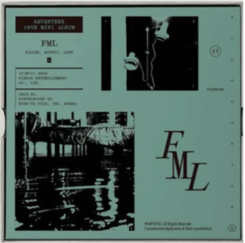 SEVENTEEN 10th Mini Album - FML - Pig Rabbit Shop Kpop store Spain