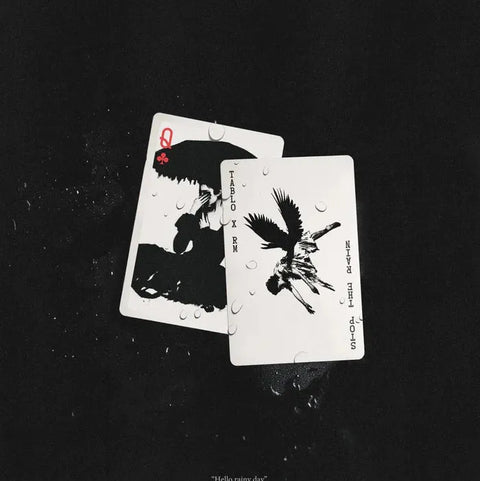 TABLO (EPIK HIGH) X RM (BTS) - Stop The Rain - Pig Rabbit Shop Kpop store Spain