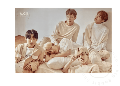 A.C.E 2019 Season's greetings poster - Pig Rabbit Shop Kpop store Spain