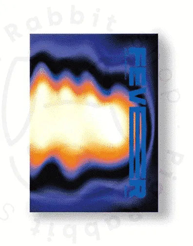ATEEZ Mini Album Vol.6 - ZERO : FEVER Part.2 - Pig Rabbit Shop Kpop store Spain