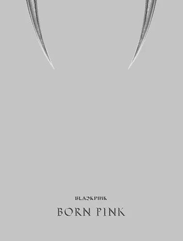 BLACKPINK - 2nd ALBUM [BORN PINK] (BOX SET Ver.) - Pig Rabbit Shop Kpop store Spain