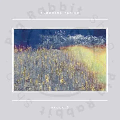 Block B Mini Album Vol.5 - Blooming period - Pig Rabbit Shop Kpop store Spain