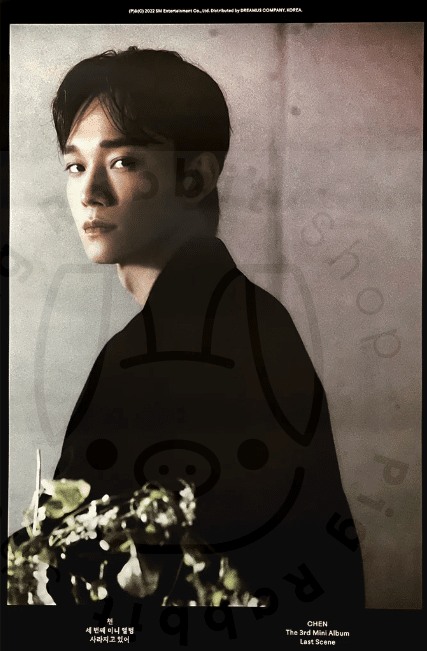 CHEN 3RD MINI ALBUM LAST SCENE (GRAY VER.) POSTER - Pig Rabbit Shop Kpop store Spain