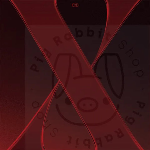 EXID 10th Anniversary Single - X - Pig Rabbit Shop Kpop store Spain