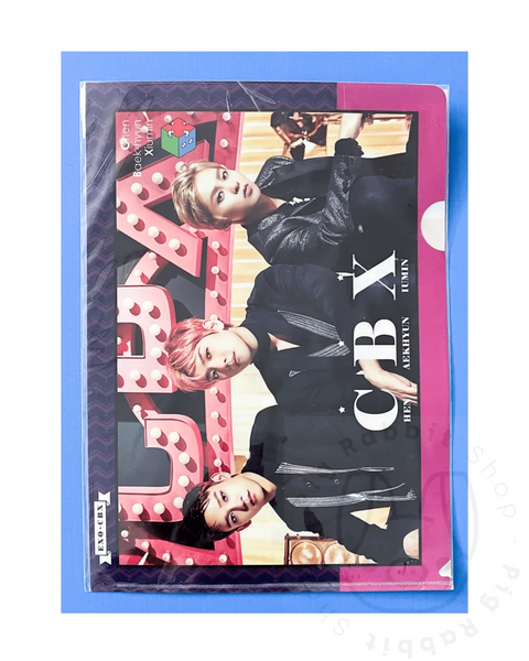 Exo CBX - Carpeta A4 - Pig Rabbit Shop Kpop store Spain