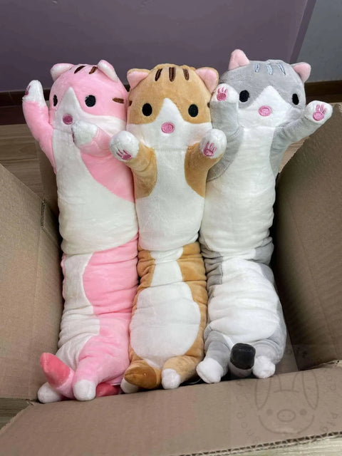 Gato largo - Pig Rabbit Shop Kpop store Spain