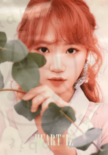 IZ*ONE - Heart*iz [ Kim Chaewon ] poster - Pig Rabbit Shop Kpop store Spain