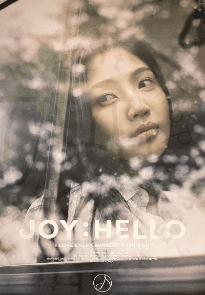 JOY - HELLO [ Case B ] poster - Pig Rabbit Shop Kpop store Spain