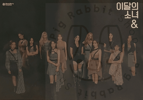 Loona - & [ c ] poster - Pig Rabbit Shop Kpop store Spain