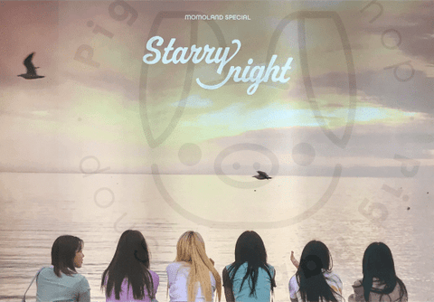 MOMOLAND Special Album - Starry Night [ b ] poster - Pig Rabbit Shop Kpop store Spain