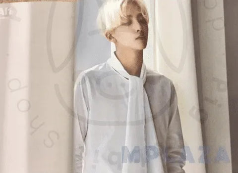 Seventeen - Al1 [ Jeonghan ] poster - Pig Rabbit Shop Kpop store Spain