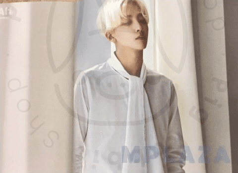 Seventeen - Al1 [ Jeonghan ] poster - Pig Rabbit Shop Kpop store Spain