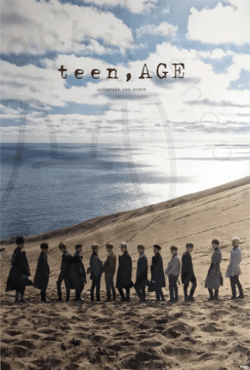 Seventeen - Teen, age [ orange ] poster - Pig Rabbit Shop Kpop store Spain