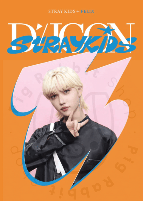 Stray Kids - DICON D’FESTA MINI EDITION - Pig Rabbit Shop Kpop store Spain