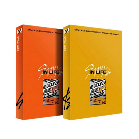 Stray Kids Repackage Album Vol.1 - IN生 IN LIFE ( STANDARD VER.) - Pig Rabbit Shop Kpop store Spain