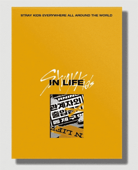 Stray Kids Repackage Album Vol.1 - IN生 IN LIFE ( STANDARD VER.) - Pig Rabbit Shop Kpop store Spain