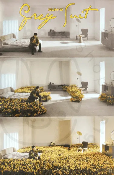 SUHO – Grey Suit [ Color B ] poster - Pig Rabbit Shop Kpop store Spain