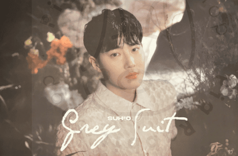 SUHO – Grey Suit [ Grey A ] poster - Pig Rabbit Shop Kpop store Spain