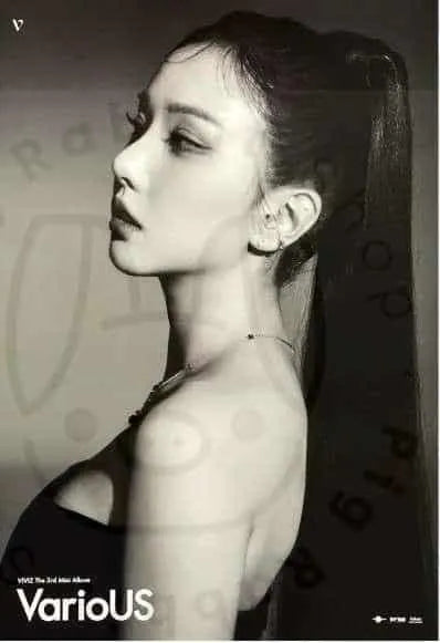 VIVIZ 3RD MINI ALBUM [ VARIOUS ] (EUNHA VER. B) POSTER - Pig Rabbit Shop Kpop store Spain