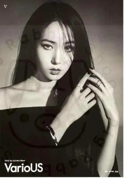 VIVIZ 3RD MINI ALBUM [ VARIOUS ] (SINB VER. B) POSTER - Pig Rabbit Shop Kpop store Spain